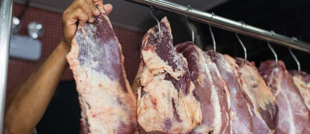 Cesta básica registra queda de 11,16% no acumulado anual na Ceasa-CE