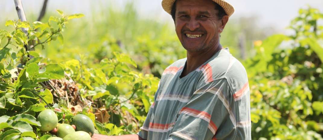 Garantia Safra 2024/2025: benefício é pago para mais de 116 mil agricultores de 117 municípios do Ceará