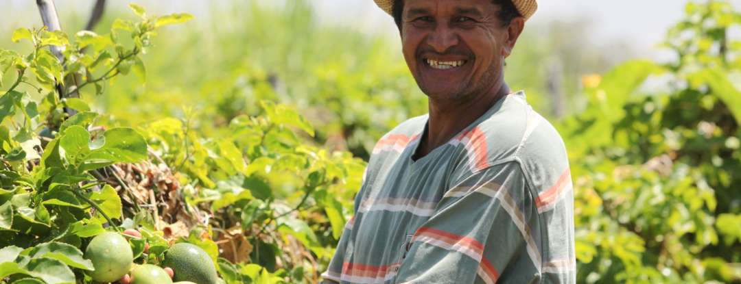 Garantia Safra 2024/2025: benefício é pago para mais de 116 mil agricultores de 117 municípios do Ceará