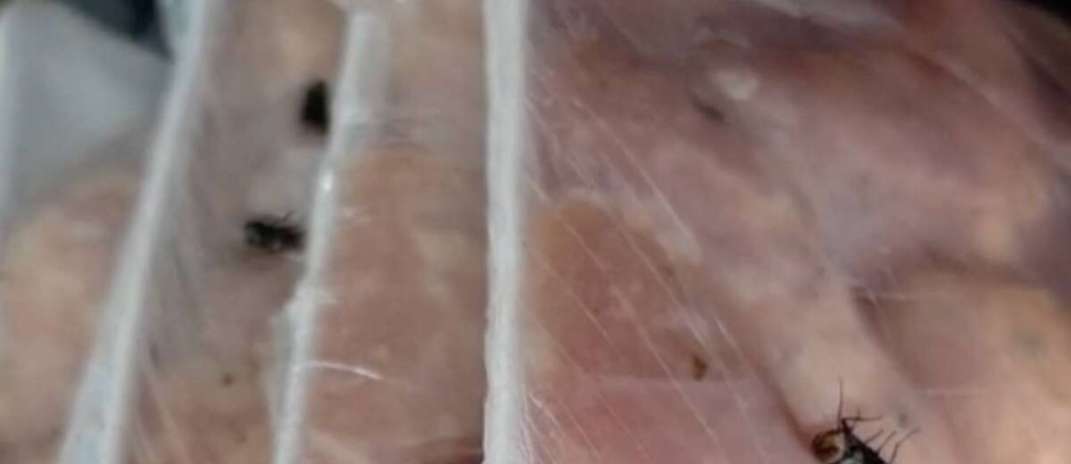 Alimentos estragados, insetos e sujeira: Procon Ceará autua supermercados após fiscalizações