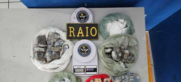 Após denúncia anônima, PMCE apreende quase 2 kg de drogas em terreno baldio em Ubajara