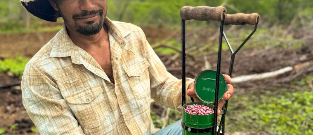 Retomada da Cotonicultura: No interior, produtores rurais iniciam plantio de sementes e celebram retorno do “ouro branco” ao Ceará