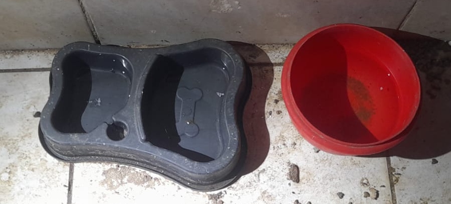 PCCE prende mãe e filha em flagrante por maus-tratos a animais em Cascavel