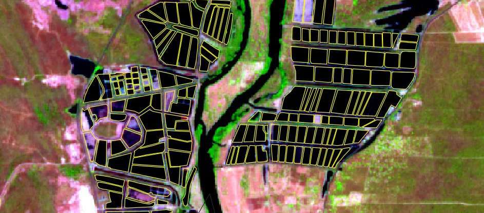 Aquicultura cresce no Ceará e área destinada à atividade chega a mais de 16 mil hectares em 2025