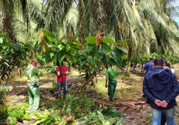 Com apoio do Centec, produtores cearenses acessam técnicas de produção de culturas de alto valor agregado