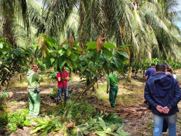 Com apoio do Centec, produtores cearenses acessam técnicas de produção de culturas de alto valor agregado