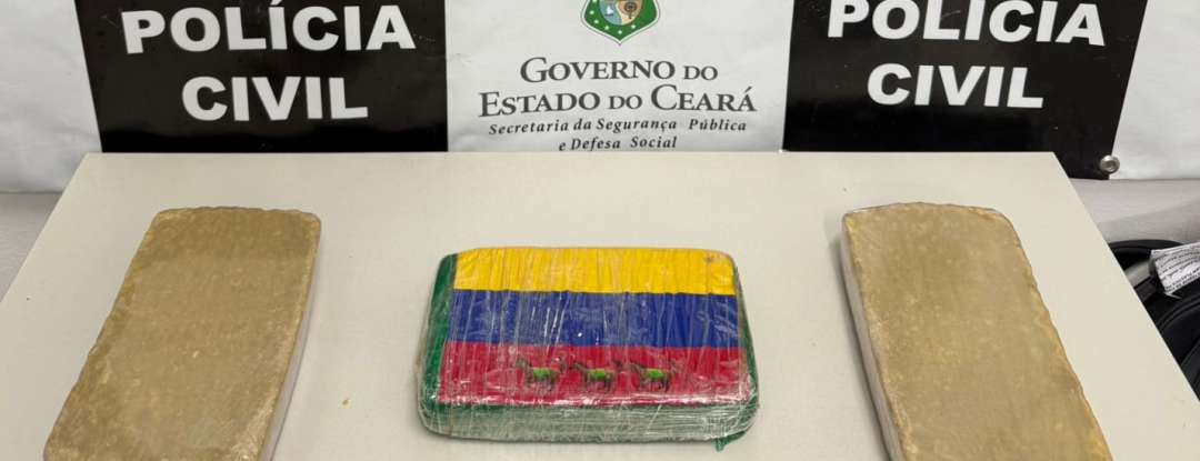 Polícia Civil captura em flagrante suspeito de tráfico interestadual com mais de três quilos de drogas em Jardim