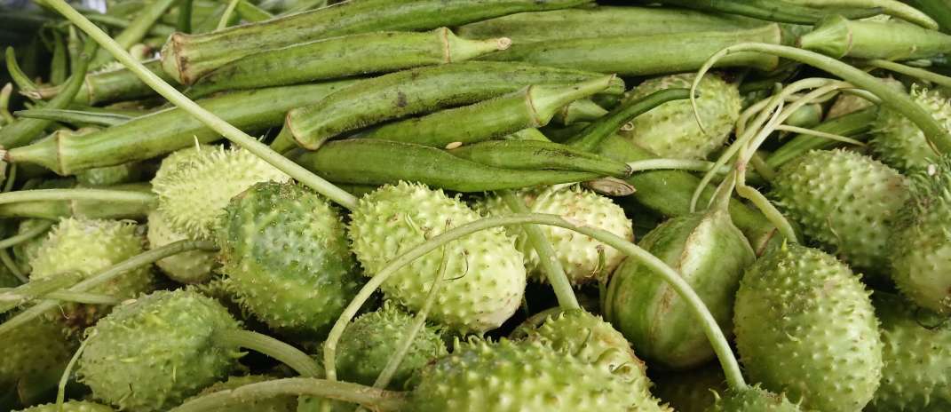 Ceasa-CE registra redução no preço de produtos típicos da Semana Santa