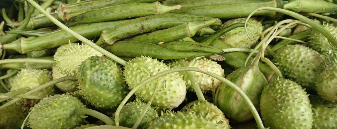 Ceasa-CE registra redução no preço de produtos típicos da Semana Santa