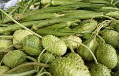 Ceasa-CE registra redução no preço de produtos típicos da Semana Santa