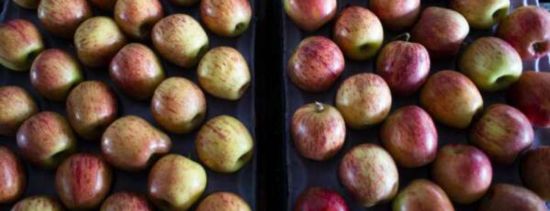 Safra em alta reduz preço da maçã na Ceasa em Maracanaú