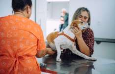 Pet Ceará Móvel chega a Maranguape com castrações gratuitas a partir de terça-feira (5)