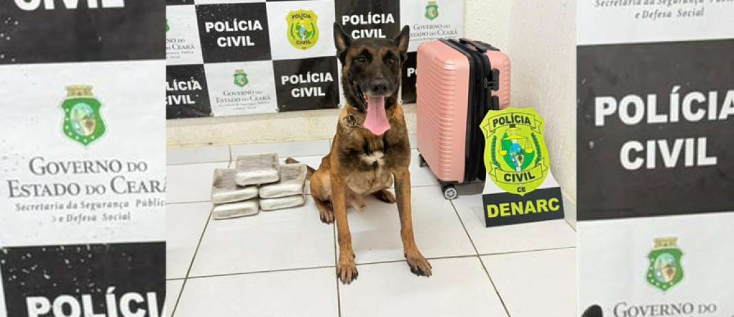 Com auxílio de cão farejador, Polícia Civil prende mulher e apreende quase 6 kg de drogas em Tauá