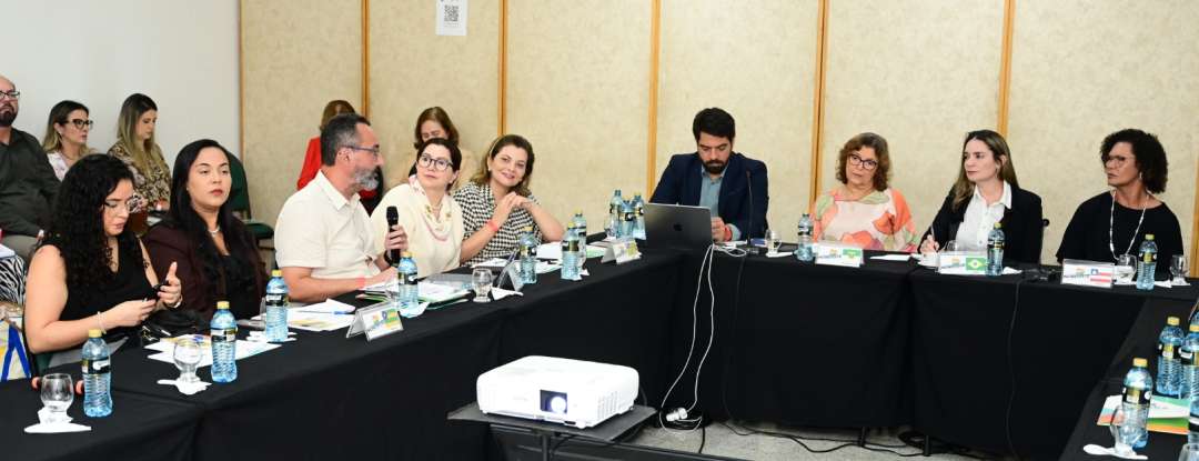 Fortaleza sedia reunião da Câmara Temática de Assistência Social do Consórcio Nordeste