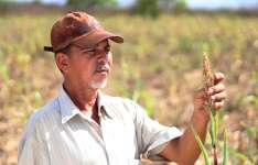Garantia Safra 2024/2025: benefício é pago a mais 29,8 mil agricultores de 20 municípios cearenses