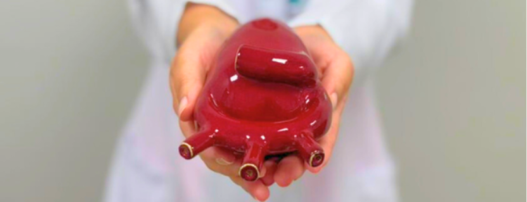 Pressão alta pode causar doenças no coração e AVC, adverte médico do HRVJ