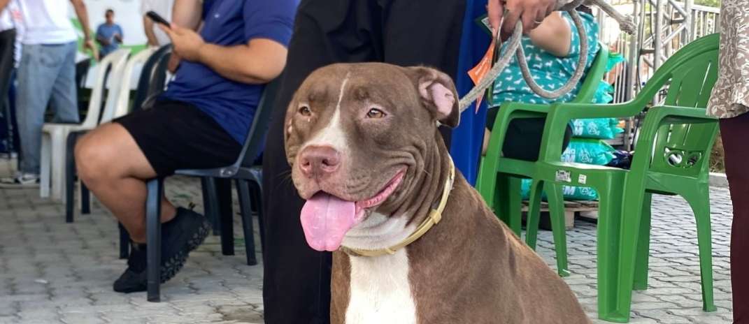Governo do Ceará leva Pet Ceará Móvel a Maracanaú com serviço de castração gratuita