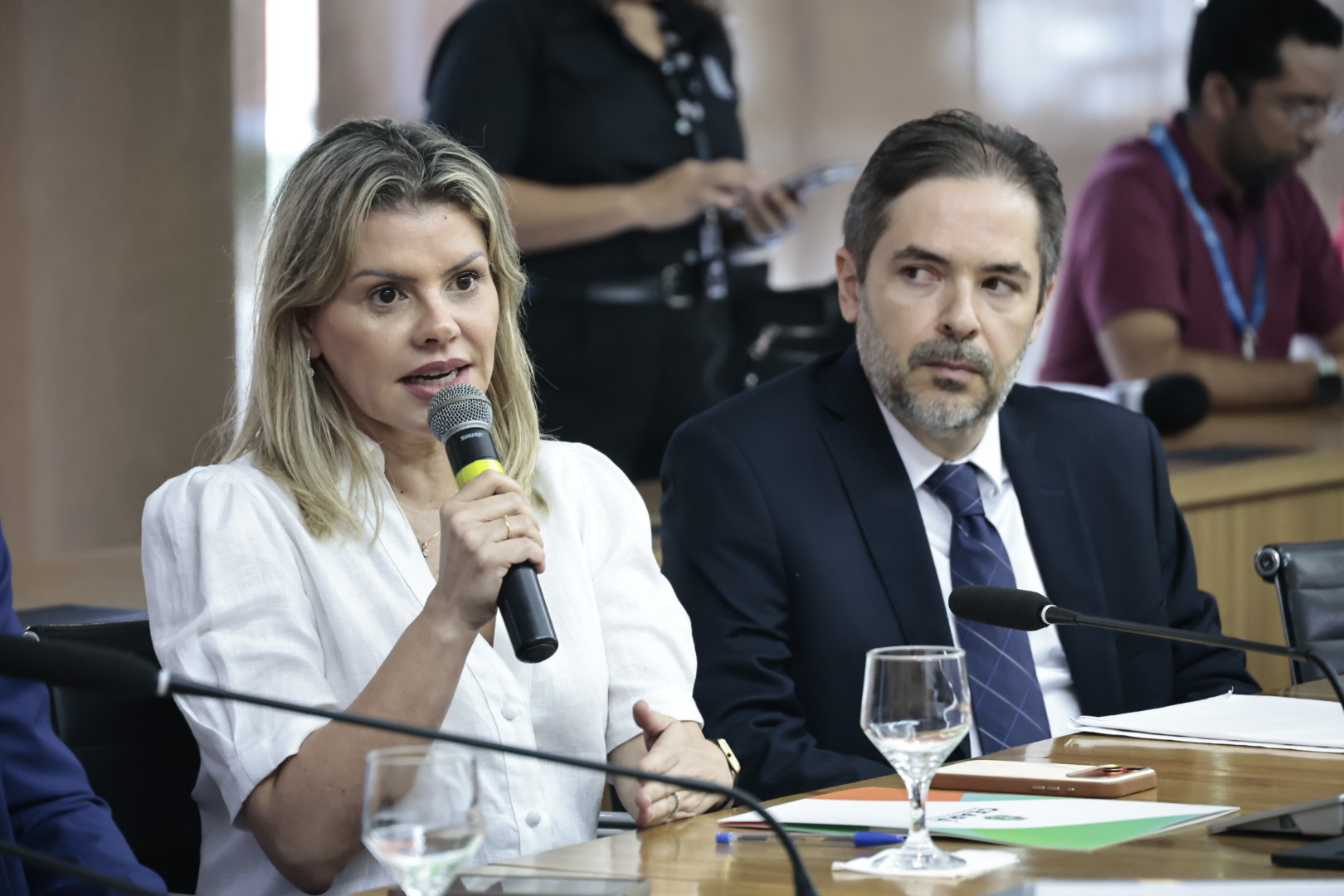 Apresentação do projeto aos investidores