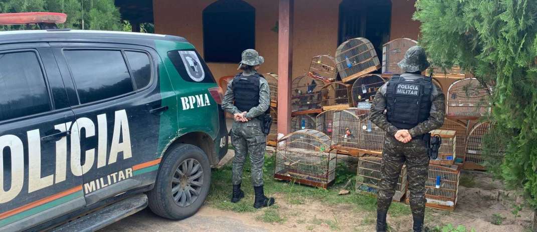 Homem é detido e 21 aves silvestres são resgatadas pela PMCE na zona rural de Crato