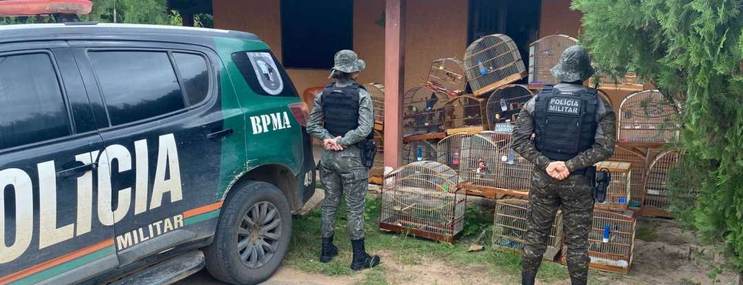 Homem é detido e 21 aves silvestres são resgatadas pela PMCE na zona rural de Crato