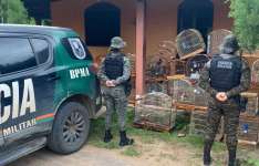 Homem é detido e 21 aves silvestres são resgatadas pela PMCE na zona rural de Crato