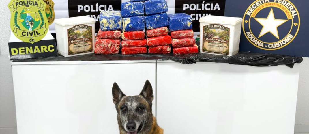 Polícia Civil e Receita Federal prendem trio e apreendem 27 kg de skunk escondidos em potes de manteiga