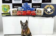 Polícia Civil e Receita Federal prendem trio e apreendem 27 kg de skunk escondidos em potes de manteiga