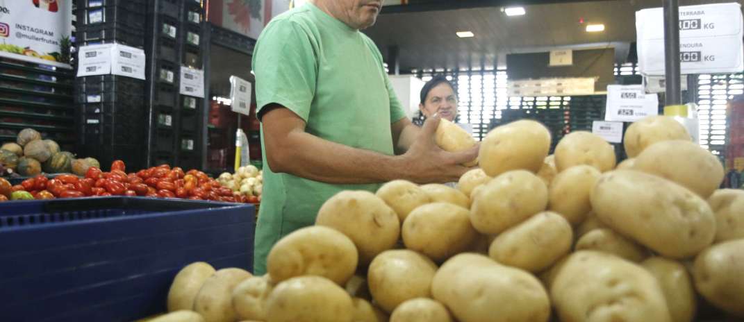 Aumento na oferta reduz preço da batata inglesa na Ceasa-CE
