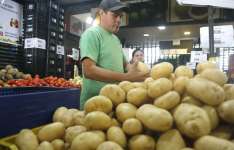 Aumento na oferta reduz preço da batata inglesa na Ceasa-CE