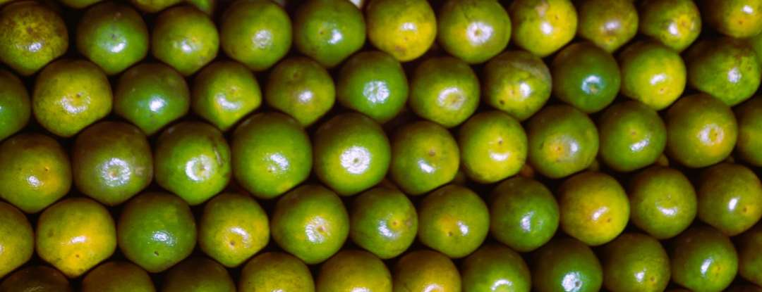 Ceasa-CE destaca boa safra da laranja e preços atrativos no mercado atacadista