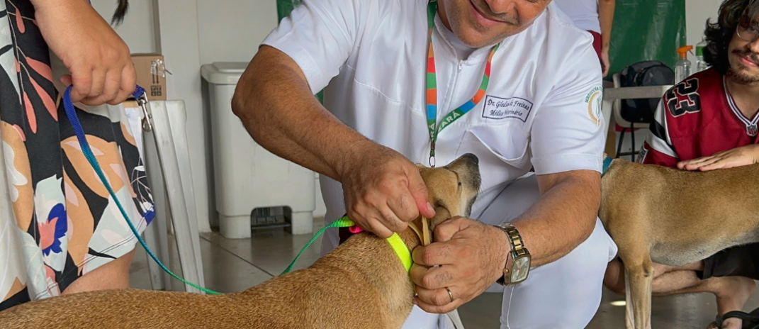 Giro Pet Ceará leva vacinação e encoleiramento antiparasitário para Juazeiro do Norte, Crato e Saboeiro nesta semana