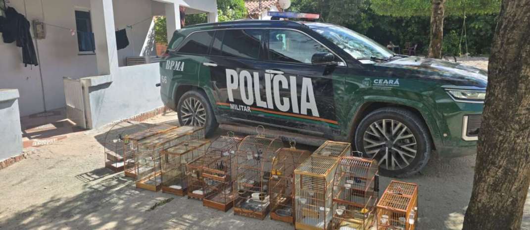 PMCE apreende aves silvestres, arma de fogo e munições durante ações da Operação Biomas em Acaraú
