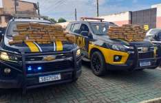 PMCE e PRF-CE capturam dupla e apreendem 67 kg de skunk em caminhão em Caucaia