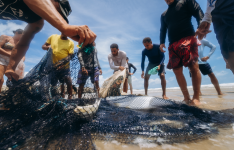 Gastronomia social e inovação educacional do Ceará ganham espaço no Festival LED 2026