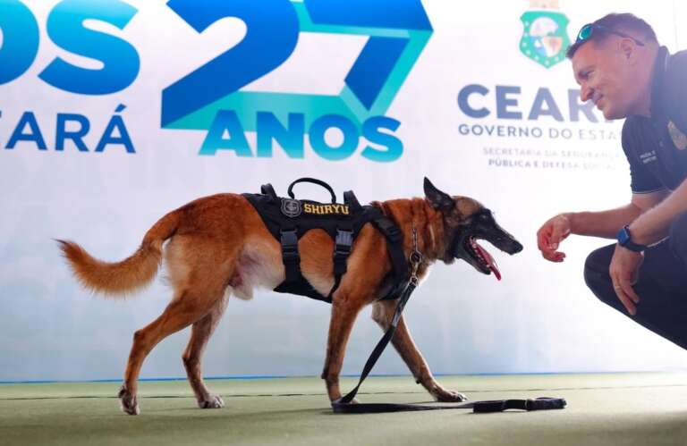 Foto: Reprodução/Secom Ceará