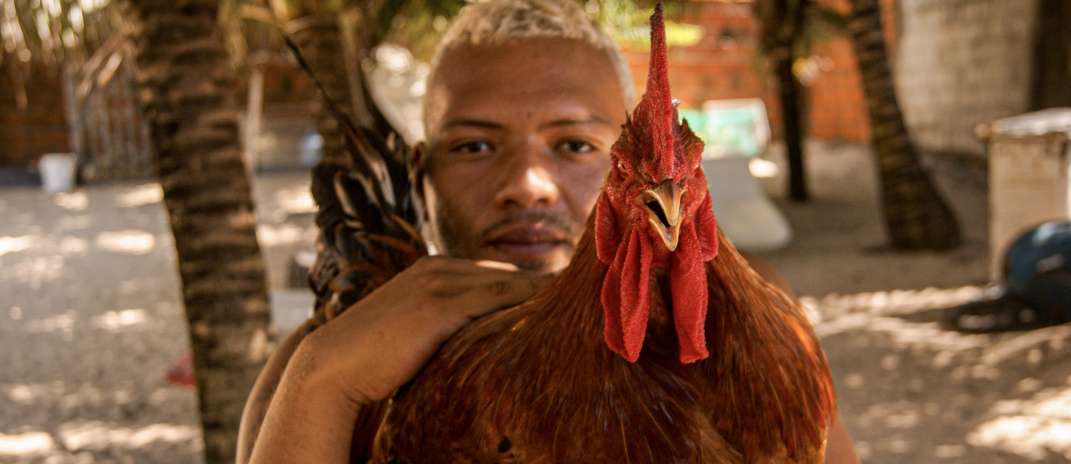 Sobrado Dr. José Lourenço promove exposição fotográfica que celebra a cidade de Fortaleza no Museu da Imagem e do Som  