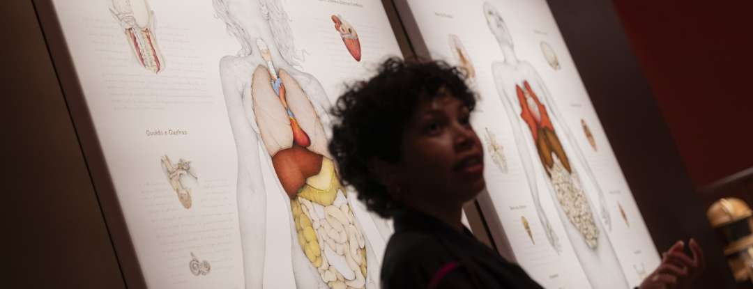 Mostra audiovisual, oficinas e palestras abertas ao público movimentam semana da Pinacoteca do Ceará 