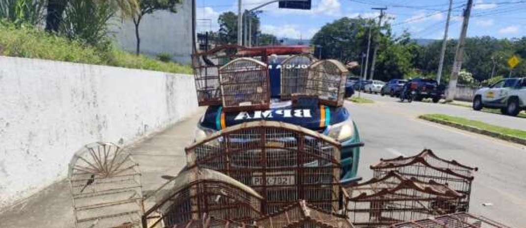 Polícia Militar resgata 16 aves silvestres mantidas irregularmente em cativeiro no Crato