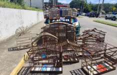 Polícia Militar resgata 16 aves silvestres mantidas irregularmente em cativeiro no Crato