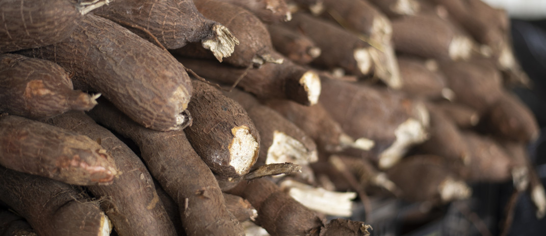 Produtos típicos das festas juninas ganham destaque na Ceasa-CE