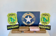 Durante ação integrada, PCCE e Receita Federal apreendem 6 kg de skunk em Fortaleza
