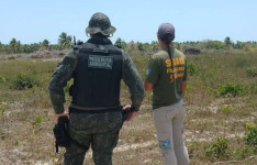 Ceará registra queda de 32,4% no desmatamento em 2025, aponta MapBiomas