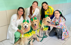 No ritmo da Copa: HGWA recebe visita de cachorrinhas caracterizadas com as cores da bandeira brasileira em ação de humanização 
