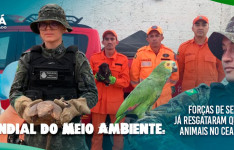 Dia Mundial do Meio Ambiente: Forças de Segurança já resgataram quase seis mil animais no Ceará em 2026