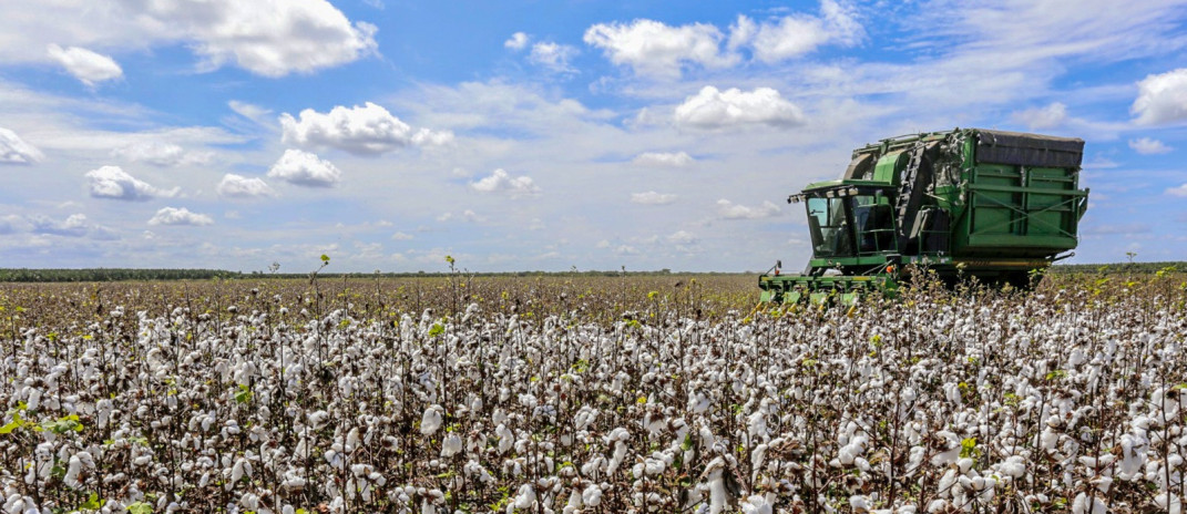 PIB cearense cresce 1,93% no 1º trimestre do ano e fica acima do nacional, da Bahia, de Minas Gerais e de São Paulo