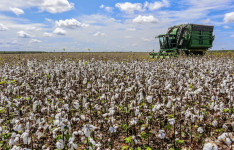 PIB cearense cresce 1,93% no 1º trimestre do ano e fica acima do nacional, da Bahia, de Minas Gerais e de São Paulo