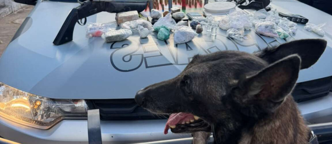 Com auxílio de cães farejadores, PMCE apreende armas, drogas e munições no Crato