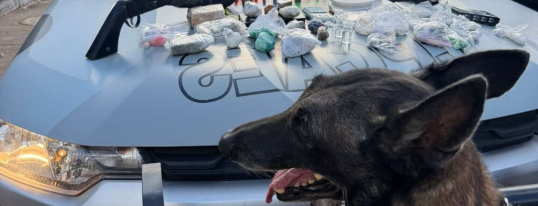 Com auxílio de cães farejadores, PMCE apreende armas, drogas e munições no Crato