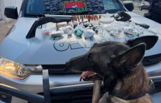 Com auxílio de cães farejadores, PMCE apreende armas, drogas e munições no Crato