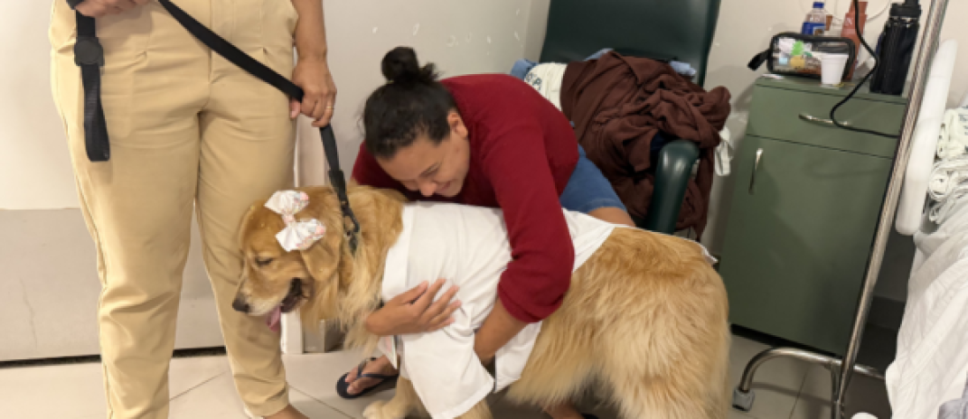 Visita de cães ‘terapeutas’ promove bem-estar entre pacientes da quimioterapia no HUC